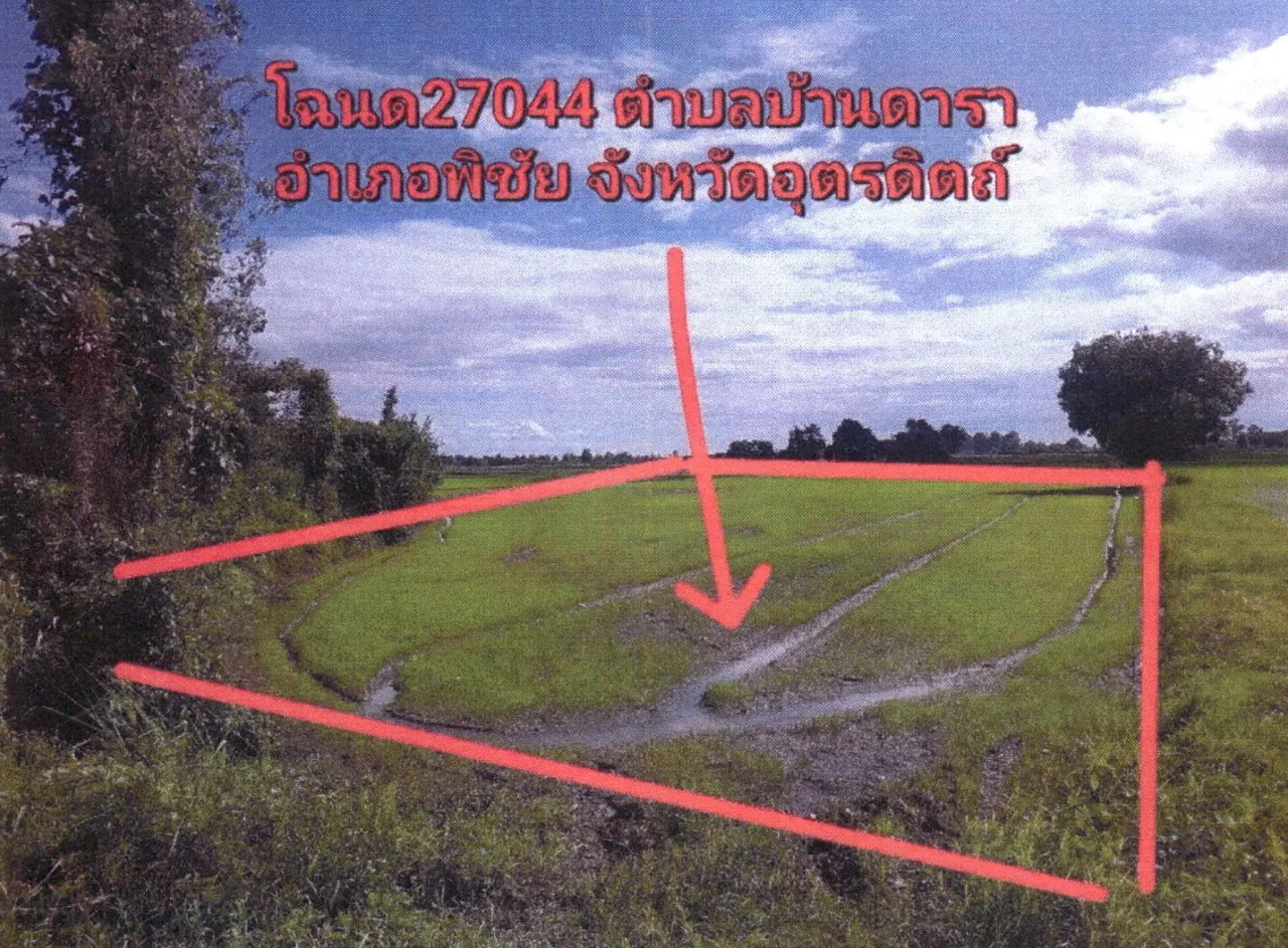 ขายทอดตลาด ที่ดินว่างเปล่า ต.บ้านดารา อ.พิชัย จ.อุตรดิตถ์