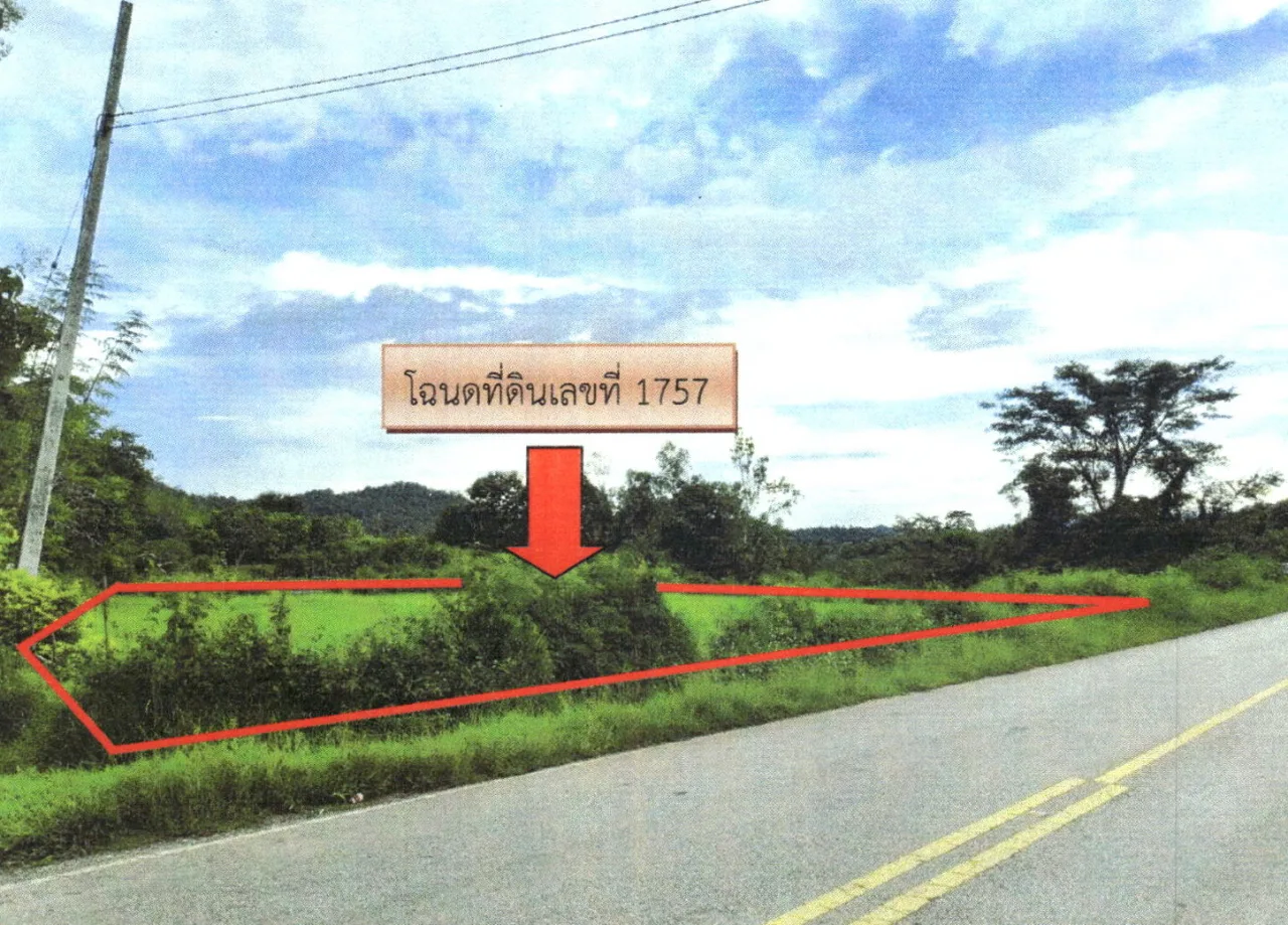 ขายทอดตลาด ที่ดินว่างเปล่า ต.นาขุม อ.บ้านโคก จ.อุตรดิตถ์