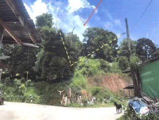 รูปทรัพย์ 1