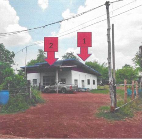 ขายทอดตลาด ที่ดินพร้อมสิ่งปลูกสร้าง ต.โคกสว่าง อ.ปลาปาก จ.นครพนม