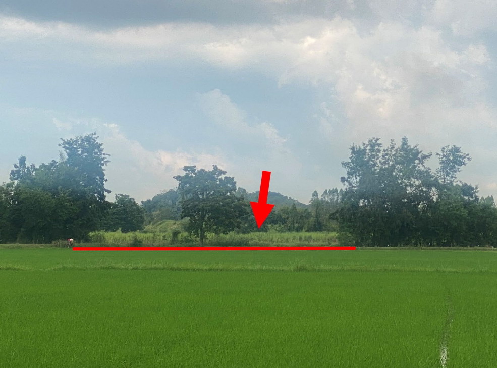 ขายทอดตลาด ที่ดินว่างเปล่า ต.วังหิน อ.บ้านไร่ จ.อุทัยธานี