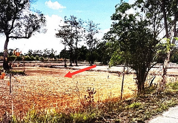ขายทอดตลาด ที่ดินว่างเปล่า จ.นครพนม