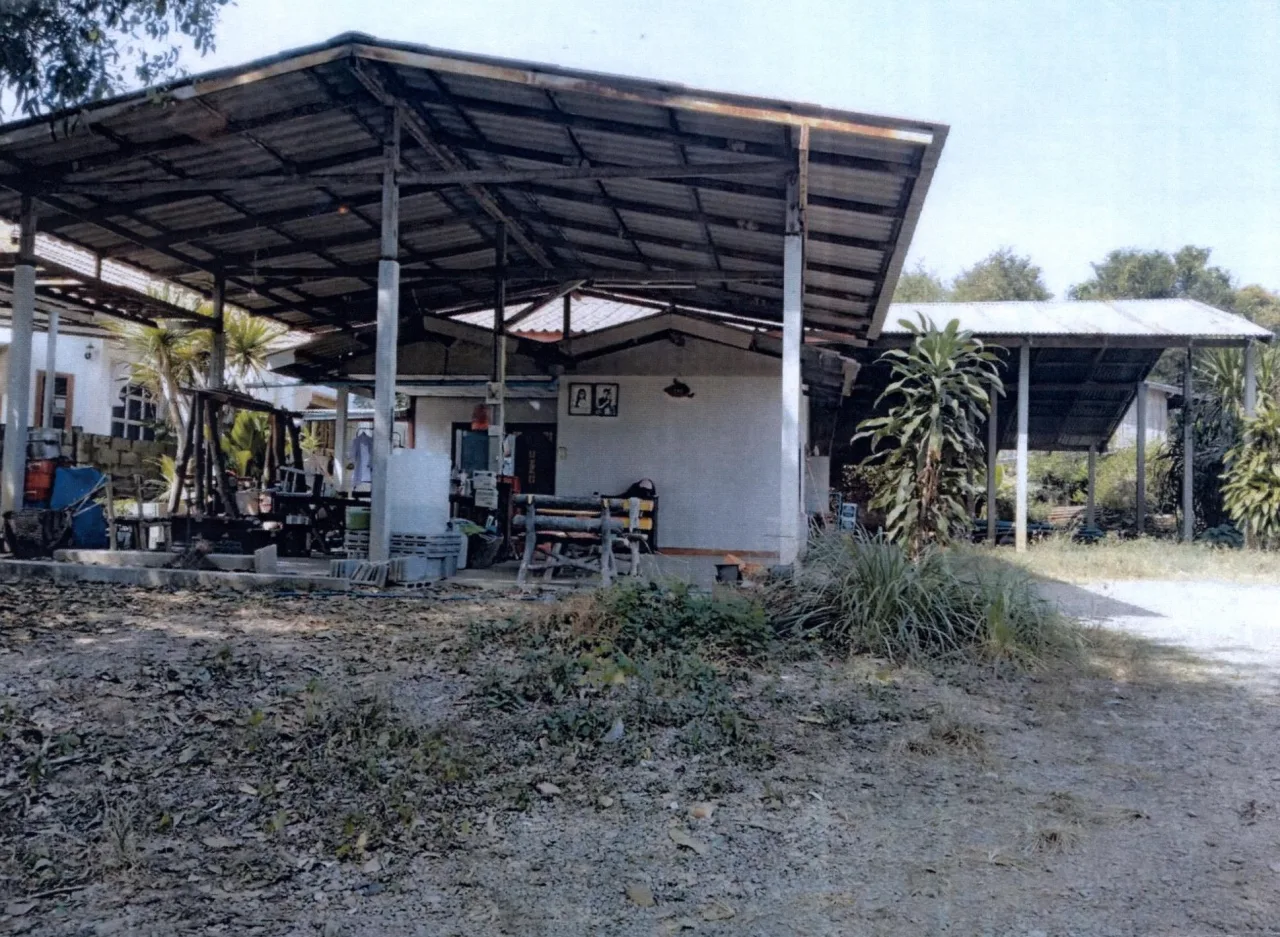 ขายทอดตลาด ที่ดินพร้อมสิ่งปลูกสร้าง ต.บ้านบึง อ.บ้านไร่ จ.อุทัยธานี