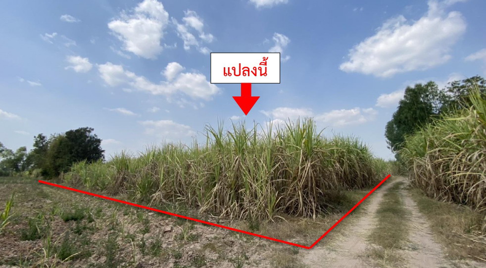 ขายทอดตลาด ที่ดินว่างเปล่า ต.ไผ่เขียว อ.สว่างอารมณ์ จ.อุทัยธานี
