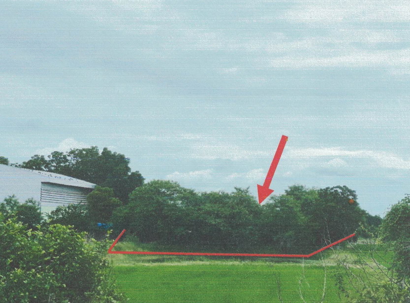 ขายทอดตลาด ที่ดินว่างเปล่า ต.หนองยาง อ.หนองฉาง จ.อุทัยธานี