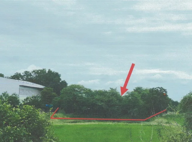 ขายทอดตลาด ที่ดินว่างเปล่า ต.หนองยาง อ.หนองฉาง จ.อุทัยธานี