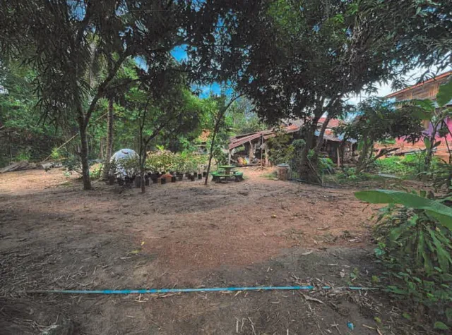 ขายทอดตลาด ที่ดินพร้อมสิ่งปลูกสร้าง ต.เจ้าวัด อ.บ้านไร่ จ.อุทัยธานี