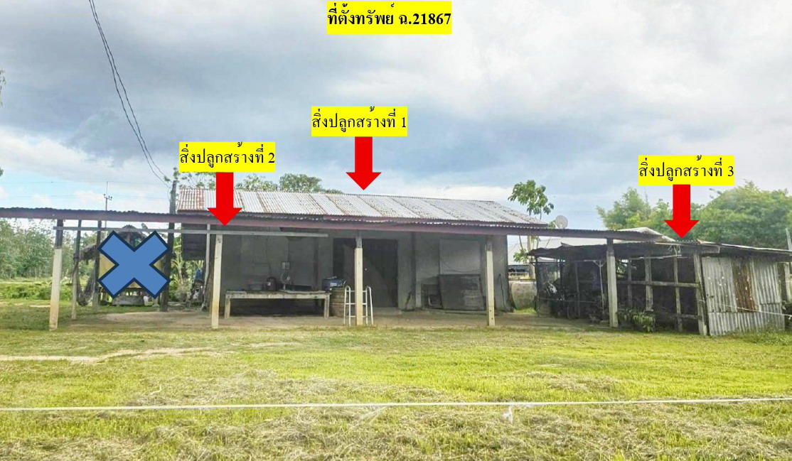ขายทอดตลาด ที่ดินพร้อมสิ่งปลูกสร้าง ต.หนองหญ้าปล้อง อ.ทัพทัน จ.อุทัยธานี