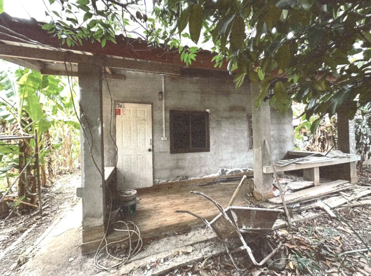 ขายทอดตลาด ที่ดินพร้อมสิ่งปลูกสร้าง ต.ฝายหลวง อ.ลับแล จ.อุตรดิตถ์