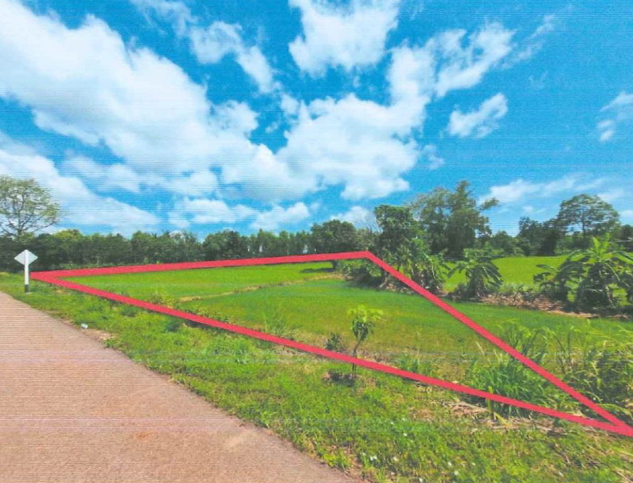 ขายทอดตลาด ที่ดินว่างเปล่า จ.นครราชสีมา