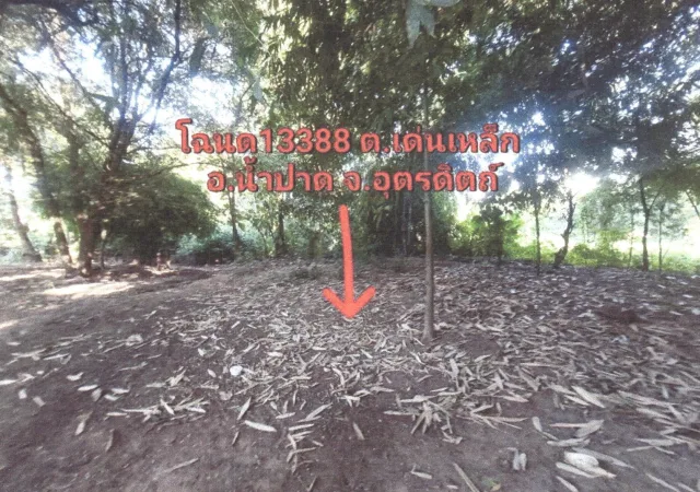 ขายทอดตลาด ที่ดินว่างเปล่า ต.เด่นเหล็ก อ.น้ำปาด จ.อุตรดิตถ์