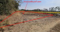 ขายทอดตลาด ที่ดินว่างเปล่า จ.นครราชสีมา
