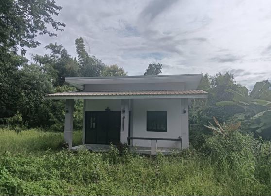 ขายทอดตลาด ที่ดินพร้อมสิ่งปลูกสร้าง ต.เมืองเดช อ.เดชอุดม จ.อุบลราชธานี