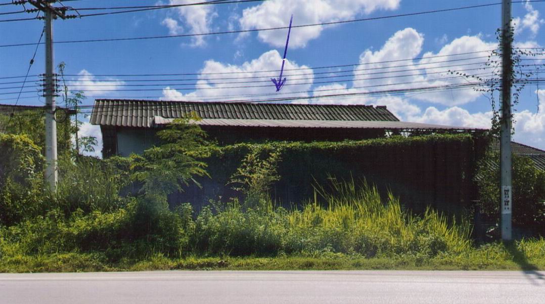 ขายทอดตลาด ที่ดินพร้อมสิ่งปลูกสร้าง ต.สันติสุข อ.พาน จ.เชียงราย
