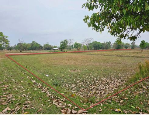 ขายทอดตลาด ที่ดินว่างเปล่า จ.อุบลราชธานี