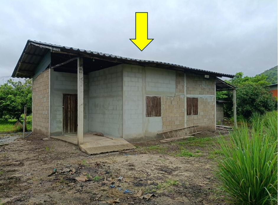 ขายทอดตลาด ที่ดินพร้อมสิ่งปลูกสร้าง ต.แม่สรวย อ.แม่สรวย จ.เชียงราย