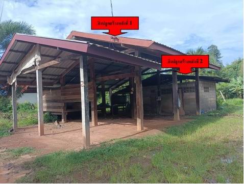 ขายทอดตลาด ที่ดินพร้อมสิ่งปลูกสร้าง ต.เก่าขาม อ.น้ำยืน จ.อุบลราชธานี