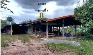 รูปทรัพย์ 2