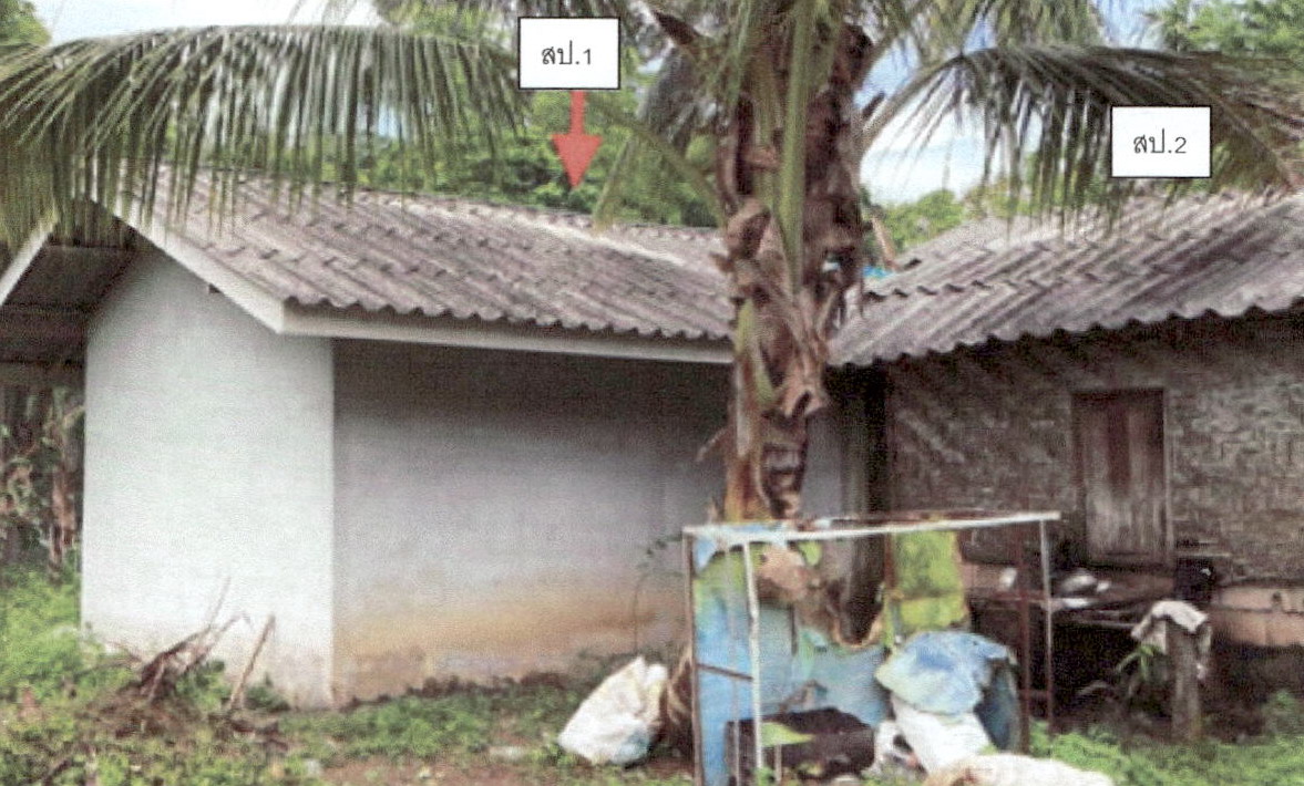 ขายทอดตลาด ที่ดินพร้อมสิ่งปลูกสร้าง ต.ไสไทย อ.เมืองกระบี่ จ.กระบี่