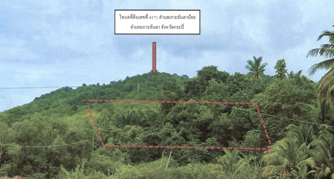 ขายทอดตลาด ที่ดินว่างเปล่า จ.กระบี่