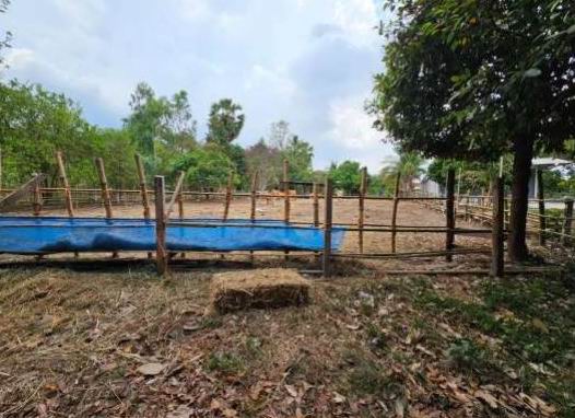 ขายทอดตลาด ที่ดินว่างเปล่า จ.อุบลราชธานี