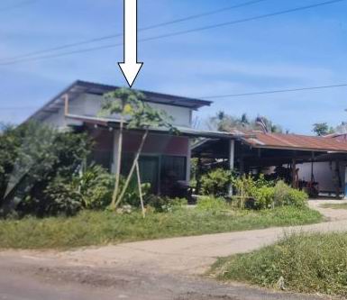 ขายทอดตลาด ที่ดินพร้อมสิ่งปลูกสร้าง ต.โดมประดิษฐ์ อ.น้ำยืน จ.อุบลราชธานี