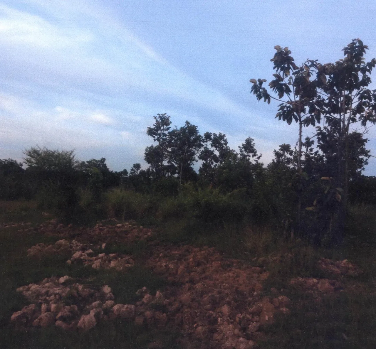 ขายทอดตลาด ที่ดินว่างเปล่า ต.เมืองเดช อ.เดชอุดม จ.อุบลราชธานี