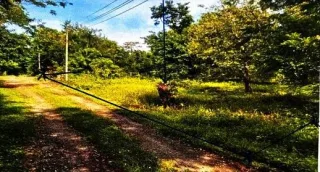 รูปทรัพย์ 2