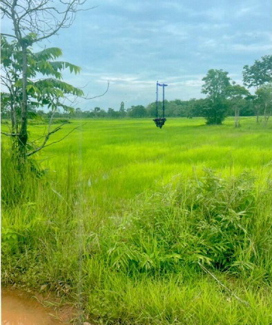 ขายทอดตลาด ที่ดินว่างเปล่า จ.ปราจีนบุรี