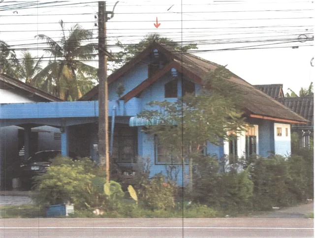 ขายทอดตลาด ที่ดินพร้อมสิ่งปลูกสร้าง ต.ปรางหมู่ อ.เมืองพัทลุง จ.พัทลุง