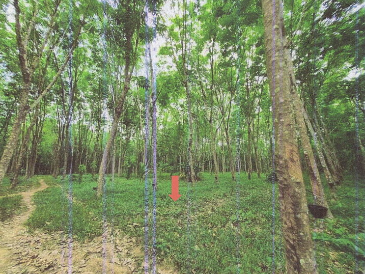 ขายทอดตลาด ที่ดินว่างเปล่า จ.กระบี่