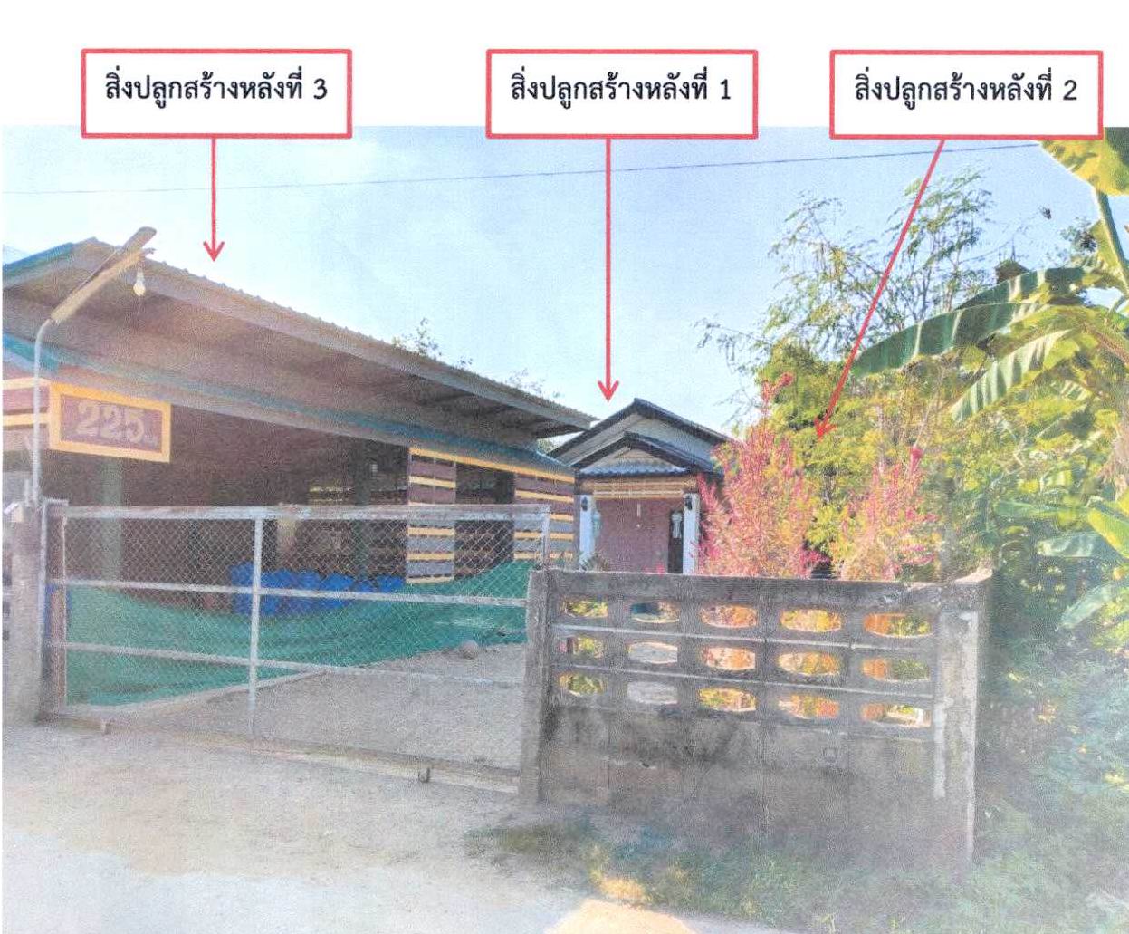 ขายทอดตลาด ที่ดินพร้อมสิ่งปลูกสร้าง ต.บ้านด้าย อ.แม่สาย จ.เชียงราย