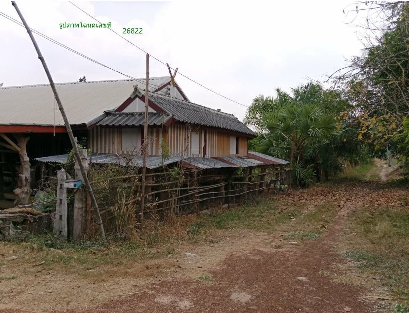 ขายทอดตลาด ที่ดินว่างเปล่า ต.ยางใหญ่ อ.น้ำยืน จ.อุบลราชธานี