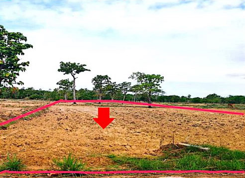 ขายทอดตลาด ที่ดินว่างเปล่า จ.อุบลราชธานี