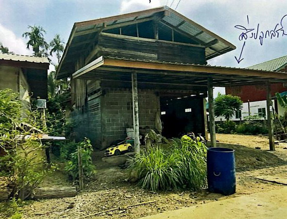 ขายทอดตลาด ที่ดินพร้อมสิ่งปลูกสร้าง ต.โซง อ.น้ำยืน จ.อุบลราชธานี