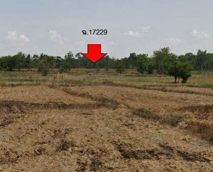ขายทอดตลาด ที่ดินว่างเปล่า ต.นาส่วง อ.เดชอุดม จ.อุบลราชธานี