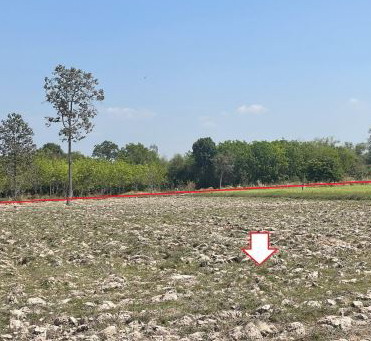 ขายทอดตลาด ที่ดินว่างเปล่า ต.หนองสะโน อ.บุณฑริก จ.อุบลราชธานี