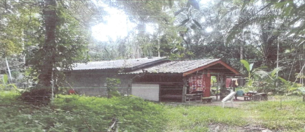 ขายทอดตลาด ที่ดินพร้อมสิ่งปลูกสร้าง ต.เขาต่อ อ.ปลายพระยา จ.กระบี่