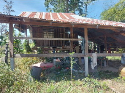 ขายทอดตลาด ที่ดินพร้อมสิ่งปลูกสร้าง ต.บัวงาม อ.บุณฑริก จ.อุบลราชธานี