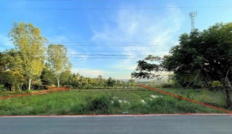 ขายทอดตลาด ที่ดินว่างเปล่า ต.โดมประดิษฐ์ อ.น้ำยืน จ.อุบลราชธานี