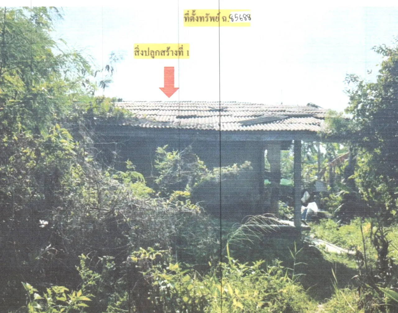 ขายทอดตลาด ที่ดินพร้อมสิ่งปลูกสร้าง ต.ชัยบุรี อ.เมืองพัทลุง จ.พัทลุง