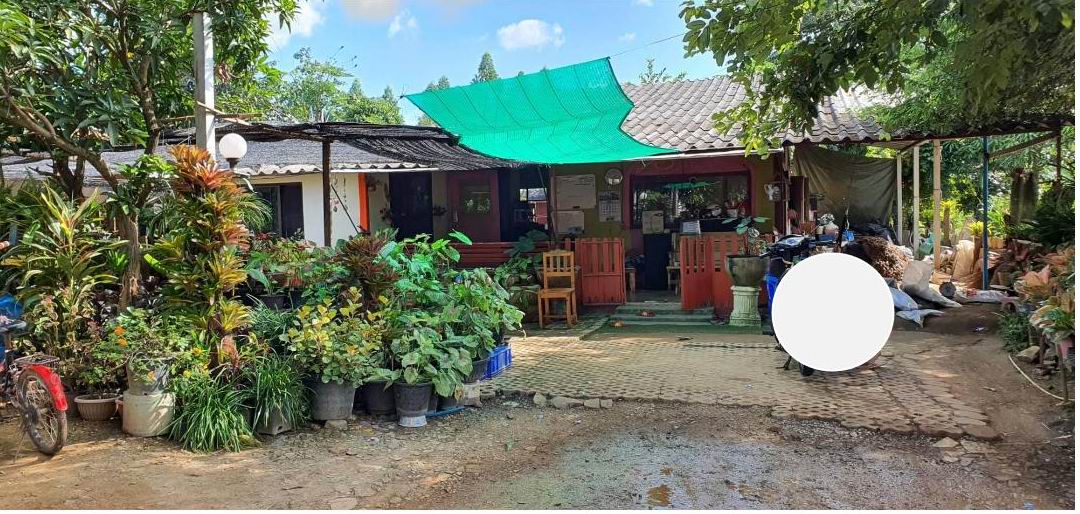 ขายทอดตลาด ที่ดินพร้อมสิ่งปลูกสร้าง ต.บ่อทอง อ.กบินทร์บุรี จ.ปราจีนบุรี