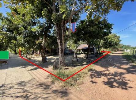 ขายทอดตลาด ที่ดินพร้อมสิ่งปลูกสร้าง ต.หนองอ้ม อ.กิ่งอำเภอทุ่งศรีอุดม จ.อุบลราชธานี