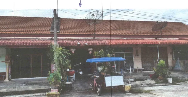 ขายทอดตลาด ที่ดินพร้อมสิ่งปลูกสร้าง ต.แม่ขรี อ.ตะโหมด จ.พัทลุง