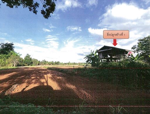 ขายทอดตลาด ที่ดินพร้อมสิ่งปลูกสร้าง ต.นาเยีย อ.กิ่งอำเภอนาเยีย จ.อุบลราชธานี