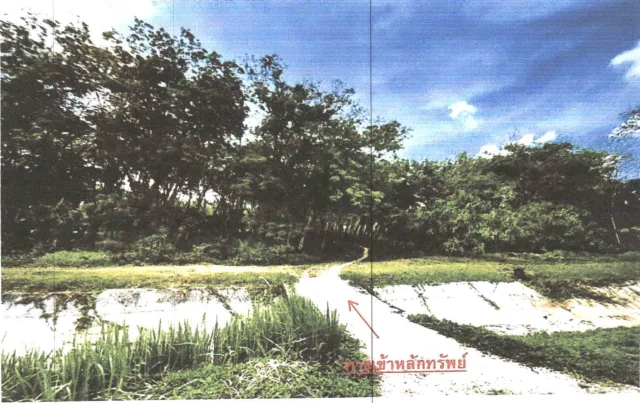 ขายทอดตลาด ที่ดินว่างเปล่า ต.เขาชัยสน อ.เขาชัยสน จ.พัทลุง