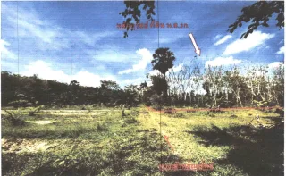 รูปทรัพย์ 2