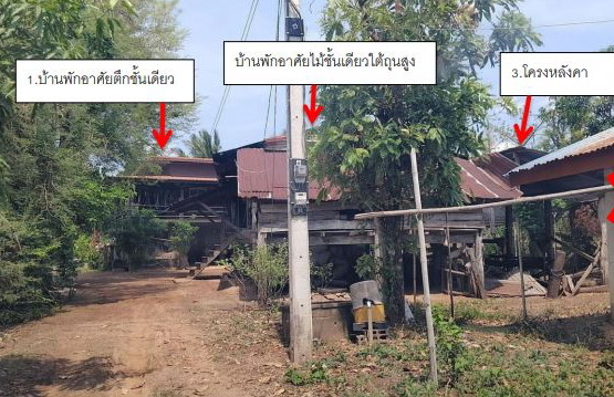 ขายทอดตลาด ที่ดินพร้อมสิ่งปลูกสร้าง ต.หนองสะโน อ.บุณฑริก จ.อุบลราชธานี