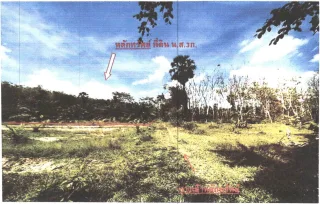 รูปทรัพย์ 3