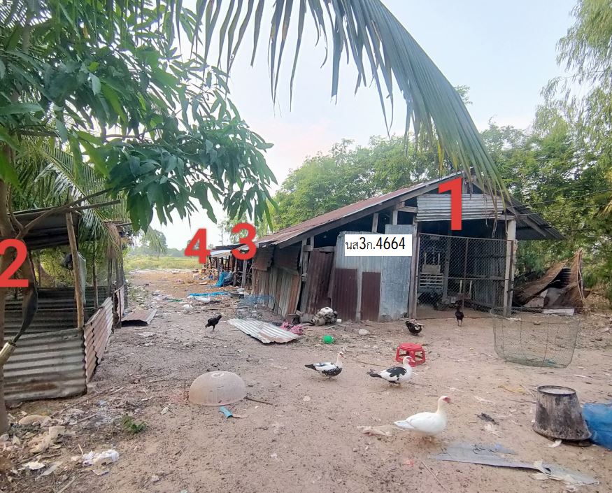 ขายทอดตลาด ที่ดินพร้อมสิ่งปลูกสร้าง ต.กุดประทาย อ.เดชอุดม จ.อุบลราชธานี